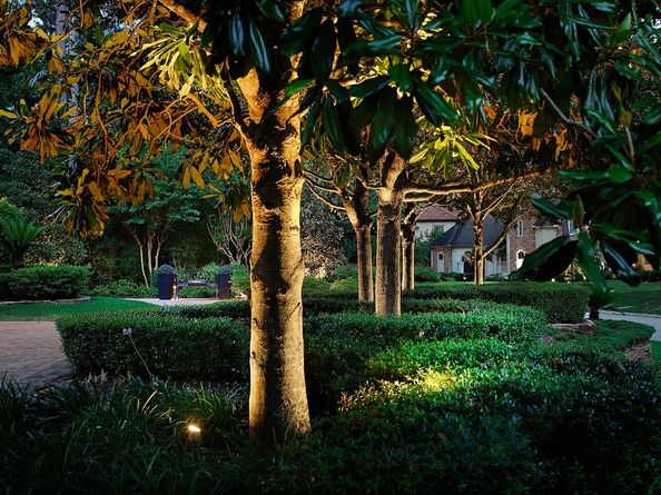 14 N Palmiera Circle, The Woodlands TX 77382