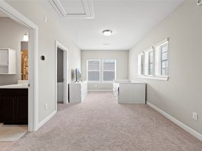 15227 Stuart Bat Cave Lane, Cypress TX 77433