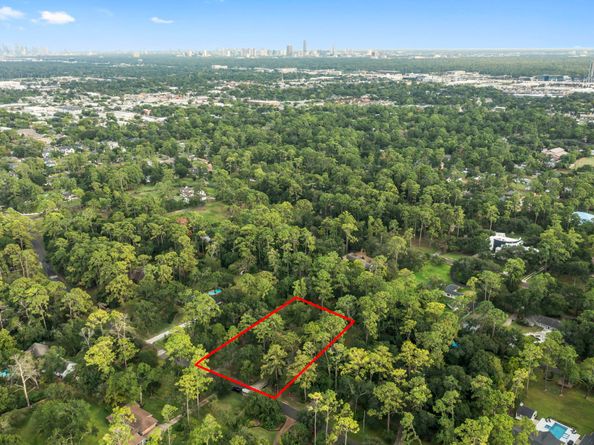 9821 Shadow Wood Drive, Houston TX 77080