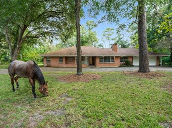 9821 Shadow Wood Drive