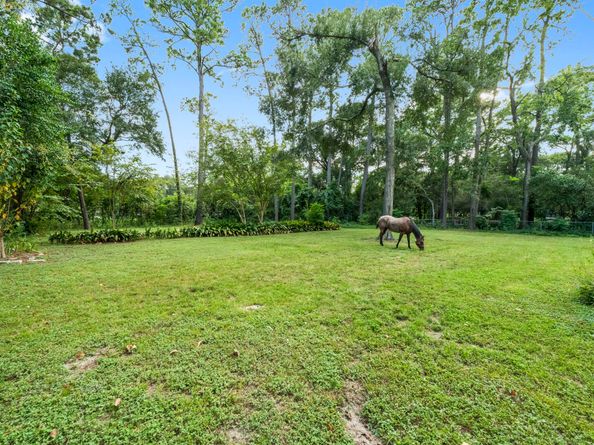 9821 Shadow Wood Drive, Houston TX 77080