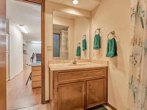 23 Indian Clover Drive, The Woodlands TX 77381