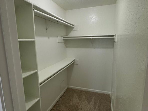 17638 Northfalk Drive, Houston TX 77084