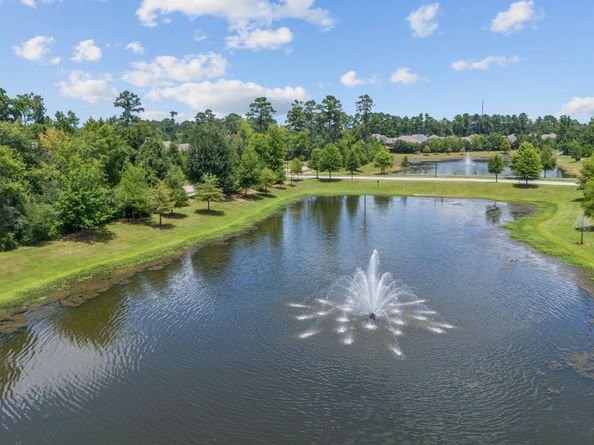 5123 Binion Forest Lane, Spring TX 77389