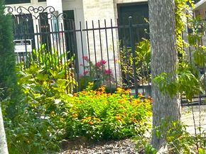 211 Kirkwood Court, Sugar Land TX 77478