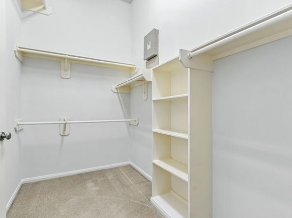 31235 Windcrest Park Lane, Spring TX 77386