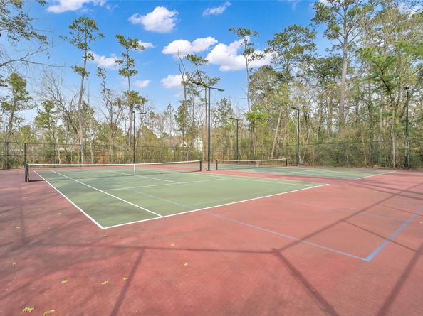 22 ALMOND BRANCH Place, The Woodlands TX 77382