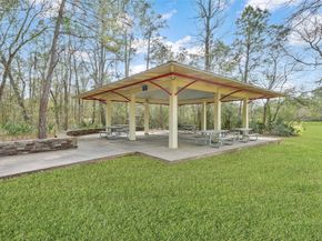 22 ALMOND BRANCH Place, The Woodlands TX 77382