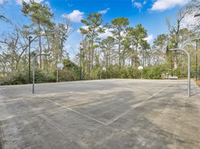 22 ALMOND BRANCH Place, The Woodlands TX 77382