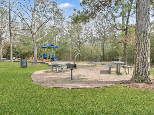 22 ALMOND BRANCH Place, The Woodlands TX 77382