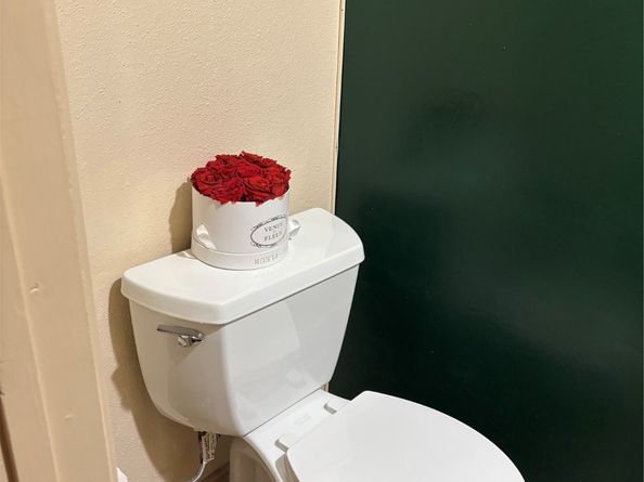 12412 Garden Estate Street, Houston TX 77072