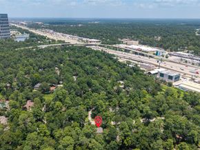 13 Woodhaven Wood Drive, The Woodlands TX 77380
