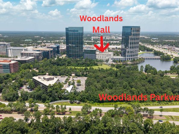 13 Woodhaven Wood Drive, The Woodlands TX 77380
