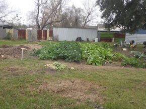 7609 Denton, Houston TX 77028