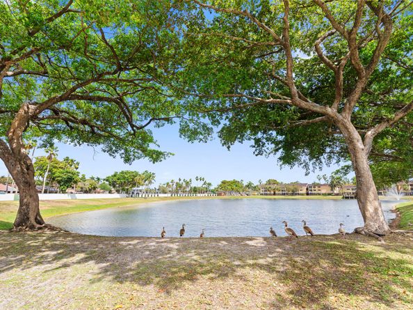 6557 NW 172nd Lane, Hialeah FL 33015