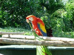 2650 Lake Shore Drive 1802, Riviera Beach FL 33404