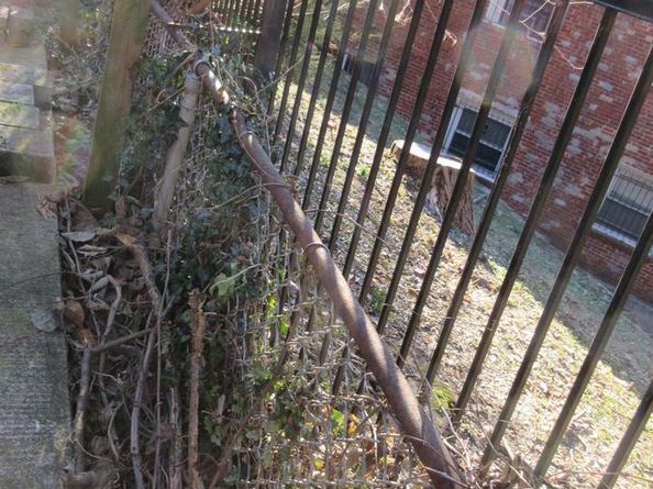 507 Oakwood Street SE, Washington DC 20032