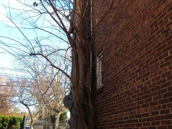 507 Oakwood Street SE, Washington DC 20032