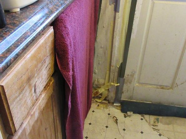 507 Oakwood Street SE, Washington DC 20032