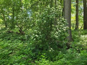 2752 N Sugan Road, New Hope PA 18938