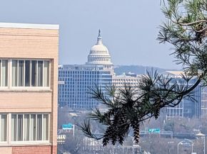 1101 S Arlington Ridge Road 504, Arlington VA 22202