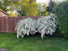 4607 Aubrey Avenue, Philadelphia PA 19114