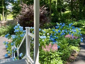 339 Plush Mill Road, Wallingford PA 19086