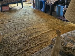 409 Urban Avenue, Norwood PA 19074