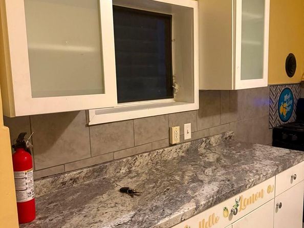 414 Glendale Road, Upper Darby PA 19082