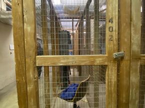 1601 Spring Garden Street 402, Philadelphia PA 19130