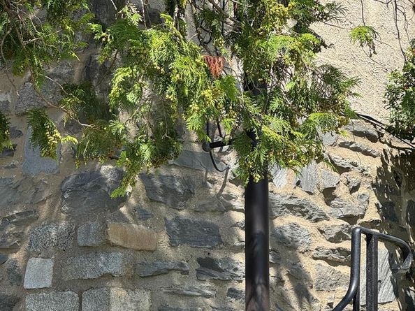 2313 Haverford Road, Ardmore PA 19003