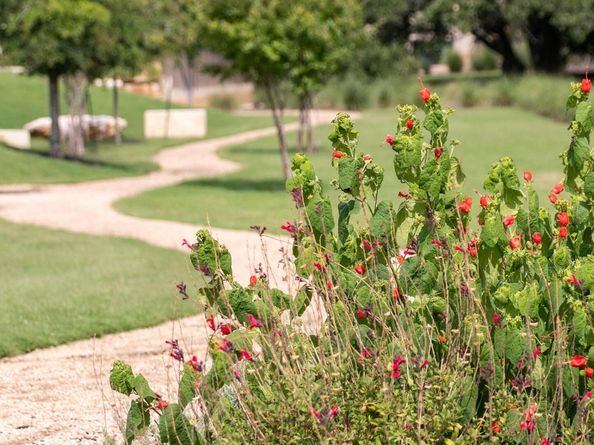 1425 Treasure Map VW, Leander TX 78641