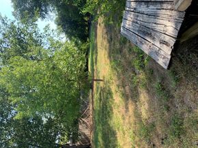 7703 Woodrow Ave, Austin TX 78757