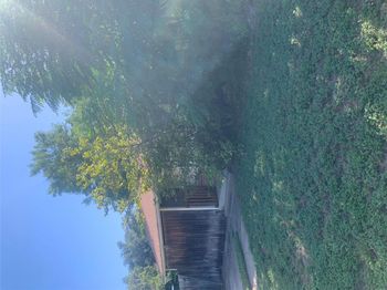 7703 Woodrow Ave