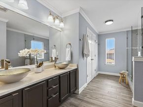 8103 Red Rock CV, Austin TX 78749