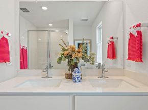 2510 Violet Theo LN, Round Rock TX 78665