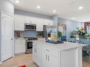 2510 Violet Theo LN, Round Rock TX 78665