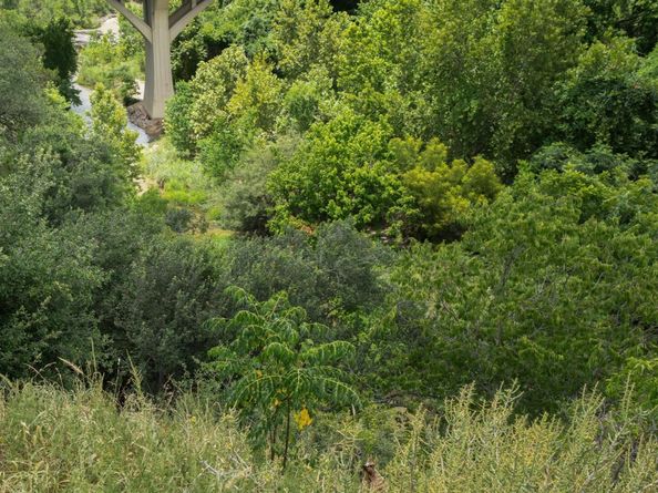 1004 Scenic DR, Georgetown TX 78626