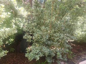 2926 Alwood Court, Spring Valley CA 91978