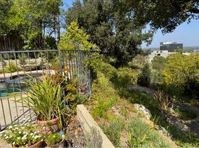 16216 Bertella Drive, Encino CA 91436