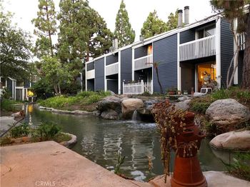 25557 Pine Creek