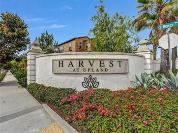 2253 Apple Court