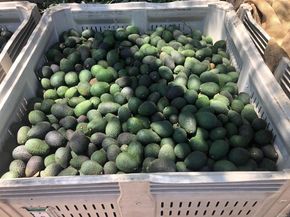 3137 E Valley Parkway, Escondido CA 92027