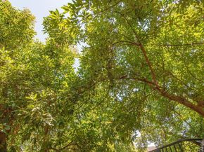 3137 E Valley Parkway, Escondido CA 92027