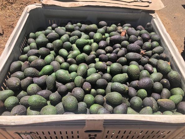 3137 E Valley Parkway, Escondido CA 92027