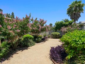 7003 Saranac Street 203, San Diego CA 92115