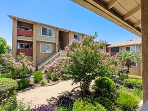 7003 Saranac Street 203, San Diego CA 92115