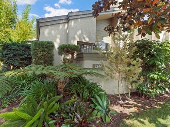 3244 Caminito Eastbluff