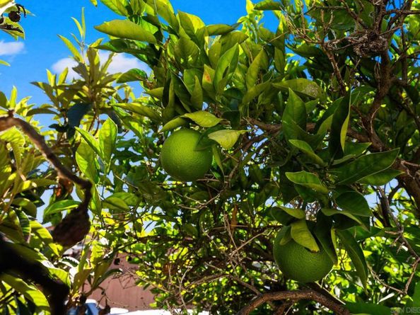 3612 Polk Avenue, San Diego CA 92104