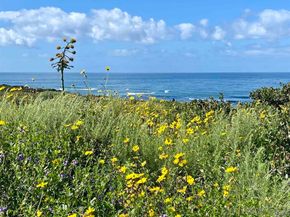 936 Cornish Dr, San Diego CA 92107